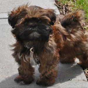 Meet your Posher, Paige